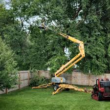 How Our Tree Care Process Works  in  Upper Nyack, NY